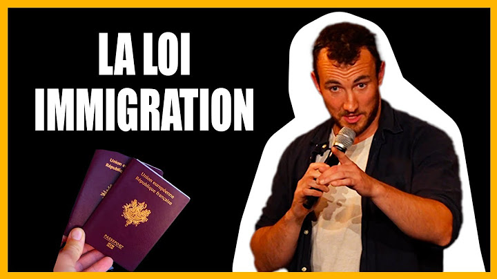 YouTube: la loi immigration