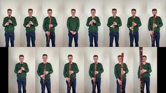 YouTube: Beethoven et flûte à bec